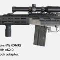 petra_dmr.jpg